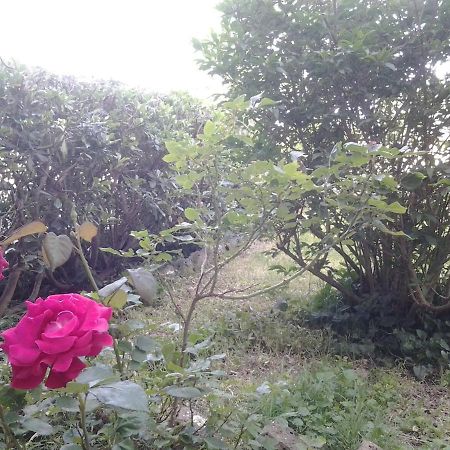 מלון Triana Casa Bindi מראה חיצוני תמונה