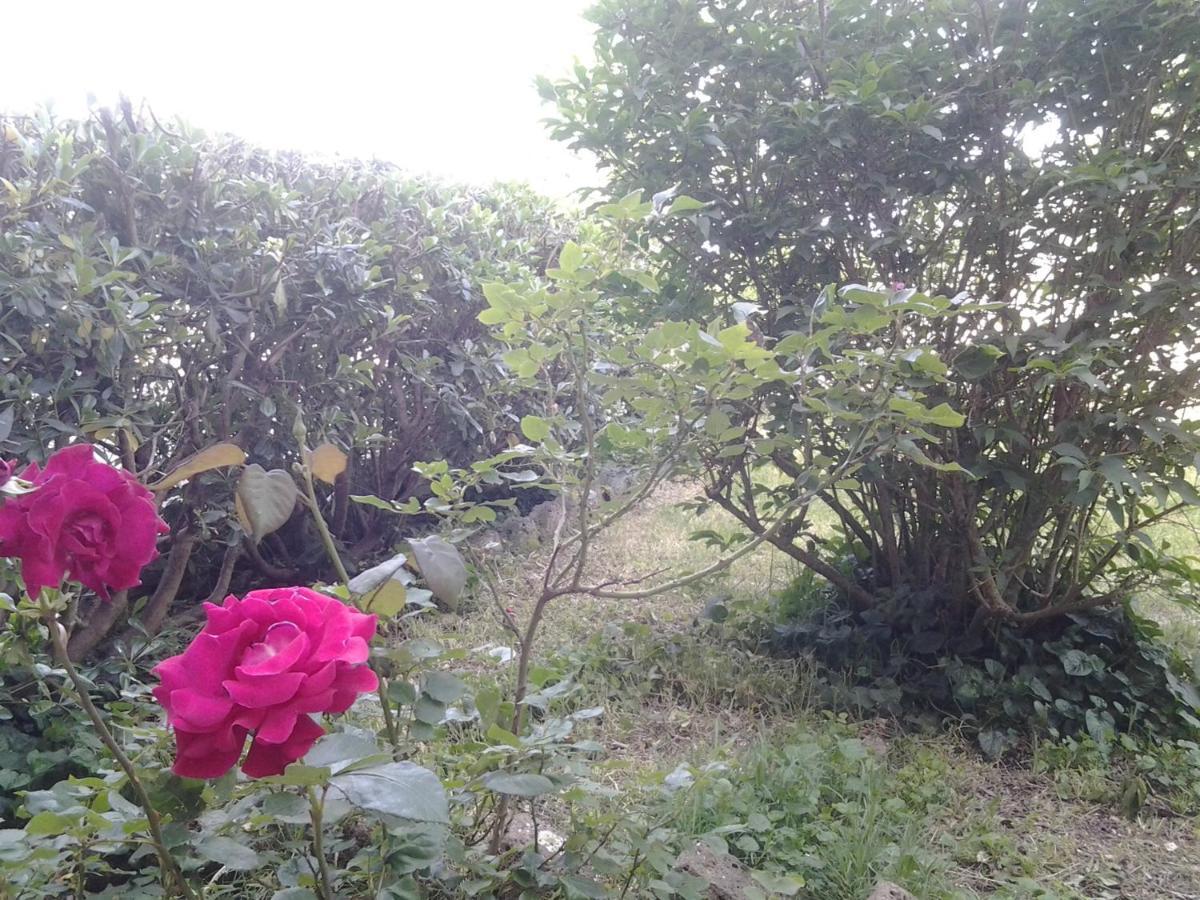 מלון Triana Casa Bindi מראה חיצוני תמונה